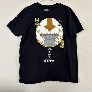 🦋 Nickelodeon Avatar the Last Airbender Appa Anime Cartoon Black T-Shirt Large